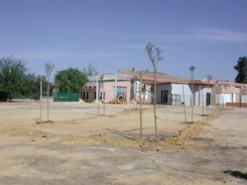Construcción de una estructura residencial con áreas verdes y un cielo despejado.