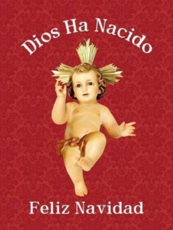 Llegó Jesús, María está muy contenta y José lleno de satisfacción, nosotros debemos de estar alegres
Feliz Año Nuevo a todos.