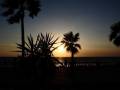 Sombra de palmeras y siluetas de personas en el borde marítimo al atardecer.