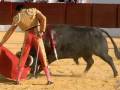 Un torero en traje tradicional de color dorado y rojo, con un capote rojo en mano izquierda, enfrenta a un toro negro en una plaza de toros. El suelo es arena y el fondo muestra la estructura roja típica de las plazas.