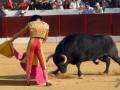 Un torero en acción durante una corrida de toros en España, con el toro negro en el centro y la multitud de espectadores detrás de una cerca roja.