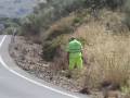 Trabajador en chaleco reflectante recoge vegetación a lo largo de un camino rural.
