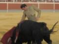 Un torero en traje tradicional se encuentra con un toro negro en una plaza de toros. El torero sostiene una capa roja mientras el animal se mueve en la arena.