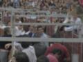 Espectadores en una corrida de toros, con una persona sosteniendo un sombrero en el primer plano.