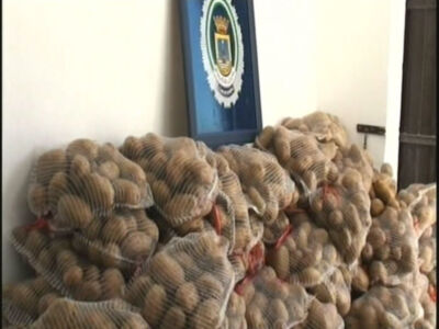 La policía local interviene ochocientos kilos de patatas por venta ambulante ilegal(Chipiona)