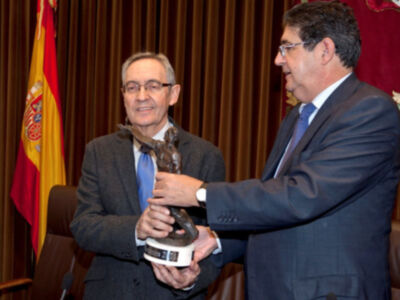 Premios Derechos Humanos Ilustre colegio de abogados de Sevilla