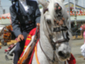 Elegante jinete montando un caballo blanco en una feria o evento deportivo, con vestimenta tradicional y un fondo de estructuras de metal y banderas festivas.
