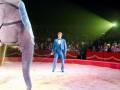 Circo: Presentación de un elefante y su entrenador en un escenario iluminado.