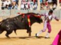 Un torero se enfrenta a un toro en una corrida de toros, rodeado por un público atento.