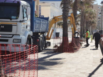 Palmeras del Paseo Costa de la Luz trasladadas al acceso a la playa de Las Tres Piedras(Chipiona) 