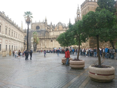 España podría batir record de turistas este año 2016.