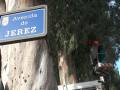 Un letrero azul con letras blancas indica la Avenida de Jerez, situado cerca de un árbol y una pared con agujeros.