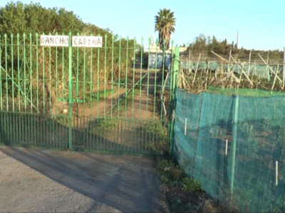 Madre Coraje lanza un nuevo llamamiento de captación de voluntarios para los huertos solidarios con que cuenta en Chipiona