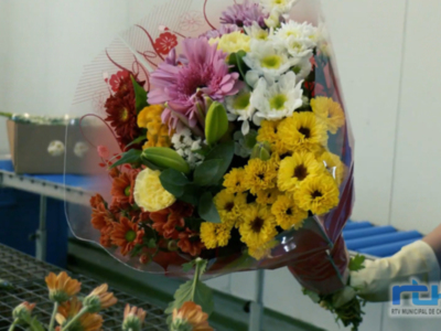 Agricultura promueve con una campaña audiovisual que se regalen flores y plantas de Chipiona por el Día de la Madre