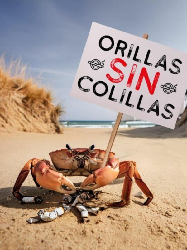 Crab holding a sign on the beach, with text "ORILLAS SIN COLILLAS" (Beaches without trash).