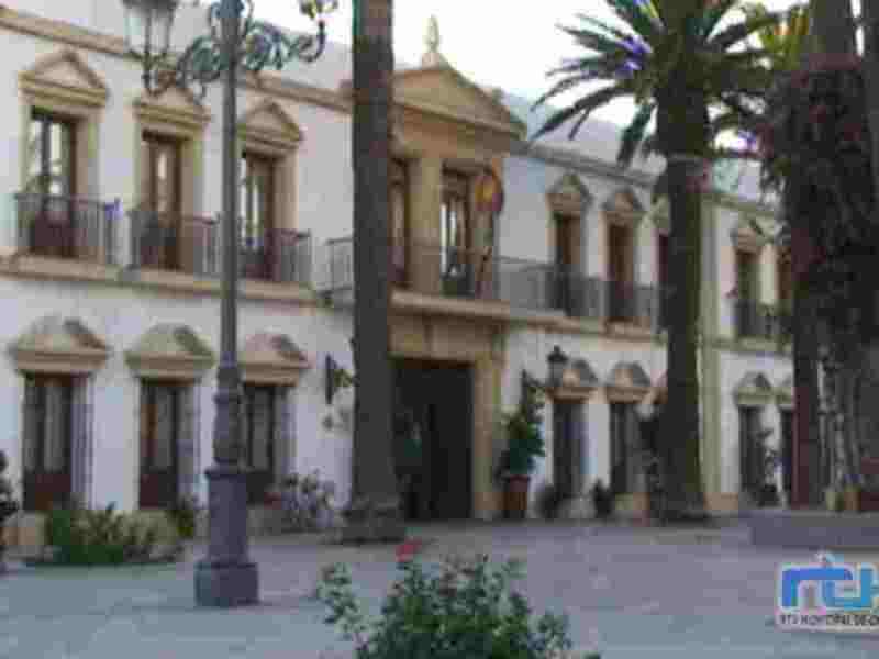 Plaza con edificio histórico y palmeras, en un entorno urbano.