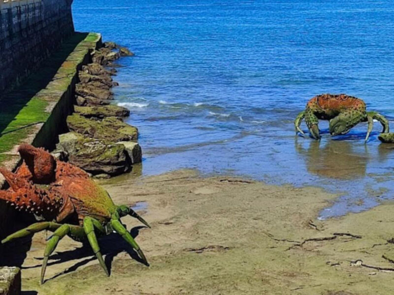 Dos cangrejos con patas verdes y rojas caminan en la orilla de un lago azul, con una marea baja y un muelle al fondo.