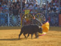 Un torero con un capote amarillo y negro enfrenta a un toro en una plaza de toros, mientras el público observa desde las gradas.