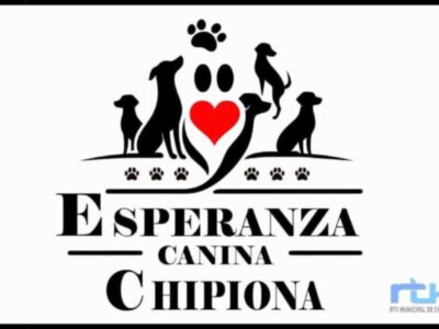 Esperanza Canina hace un llamamiento para el acogimiento temporal de seis perros mientras se repara su refugio
