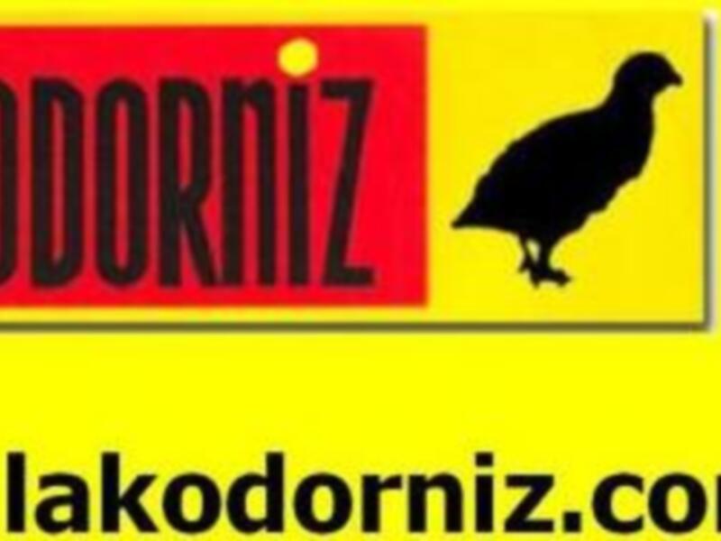 Kodorniz es una marca de productos para aves domésticas. Puedes visitar www.lakodorniz.com para más información y productos.