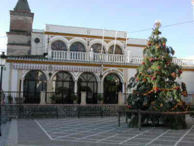 Un gran Árbol de Navidad ecológico centra la decoración navideña en Gines