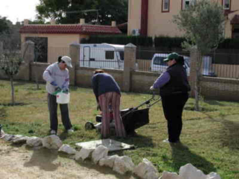 El Taller de Empleo San Ginés II inicia sus trabajos en el parque municipal