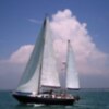 Dos veleros gaditanos ponen rumbo a Saint-Malo desde la Coruña para comenzar la regata del Cincuentenario