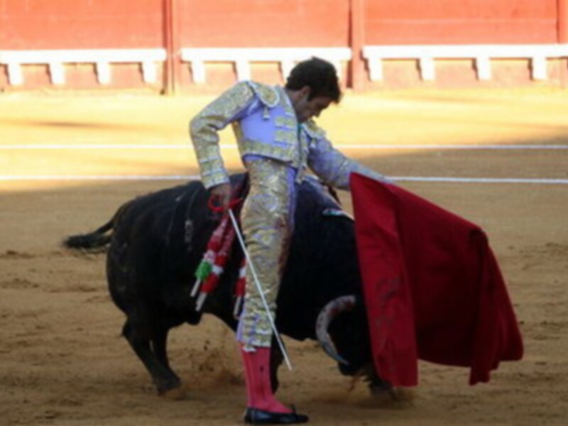 Un torero en el centro de la imagen, con un traje tradicional y una capa roja en su mano izquierda. El toro está parado, con las cuerdas de la capa en su boca y el fondo es una arena de toros con una pared roja.