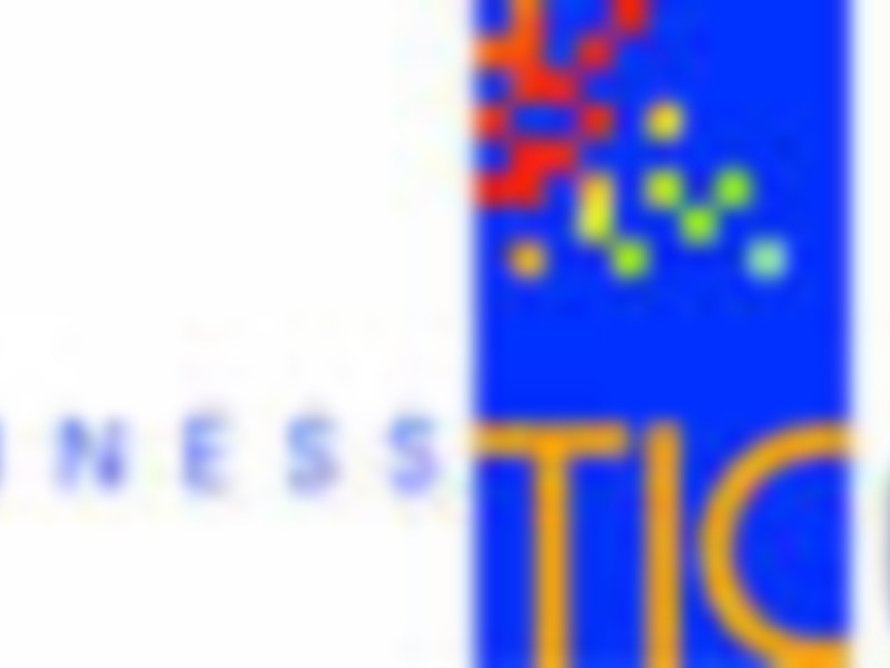 Hogar Digital y Edificabilidad Sostenible, presentes en el I Foro de Negocios Business TIC organizado por ETICOM