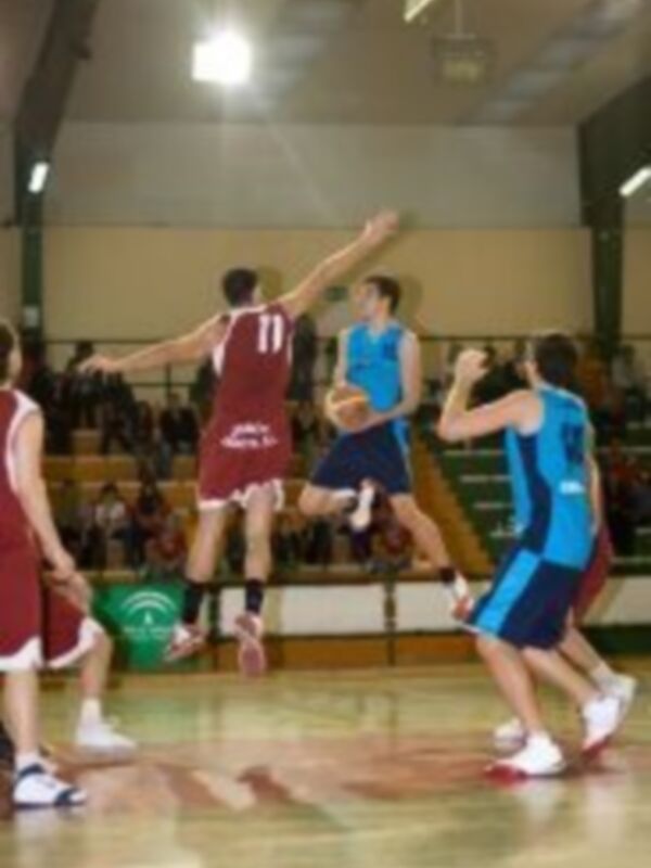 ECIJA CAJASOL 79 - FRIZONIA CIMBIS 65