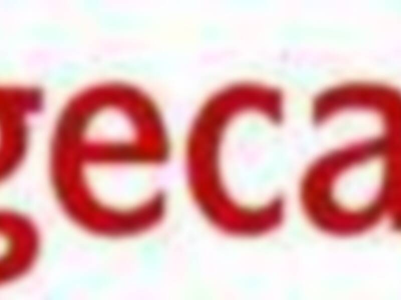 Competencia reconoce el derecho de Sogecable a explotar los derechos del Real Madrid para la temporada 2008/2009