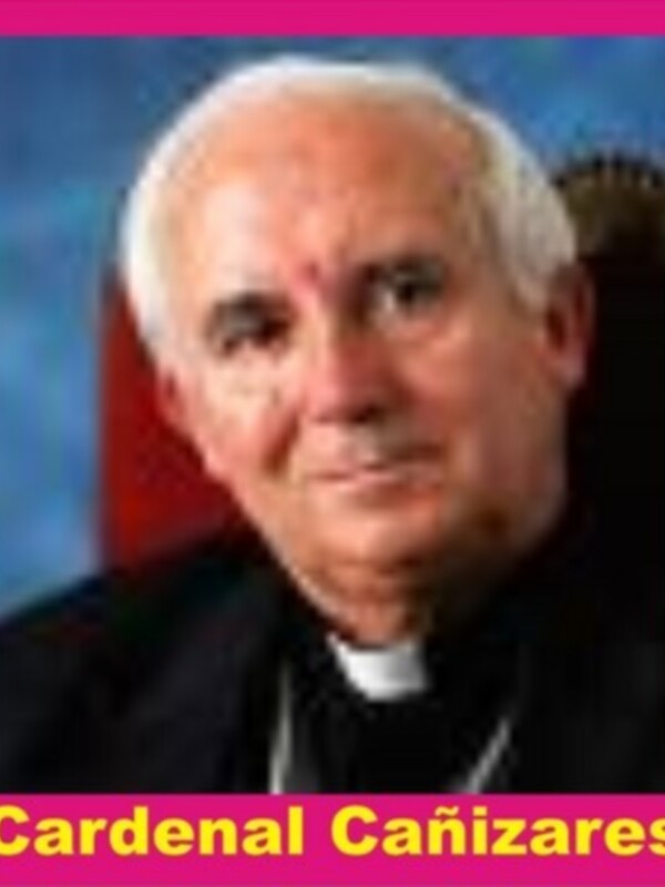 Cardenal Cañizares: En la JMJ2011 emergerá la vitalidad de la Iglesia en EspañaEl Arzobispo de Toledo habla a su regreso de Sydney (Australia).