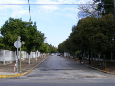 Gines: comienzan las obras de mejora en la calle Álvarez Quintero