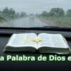 Este domingo Domund 2008 Como Pablo, misionero por vocación, lema de la Jornada Misionera Mundial: Aquellos que hemos recibido de Dios, de forma totalmente gratuita, el don de la fe, hemos de testimoniarla