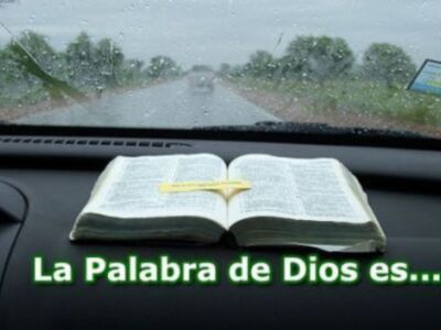 Este domingo Domund 2008 Como Pablo, misionero por vocación, lema de la Jornada Misionera Mundial: Aquellos que hemos recibido de Dios, de forma totalmente gratuita, el don de la fe, hemos de testimoniarla