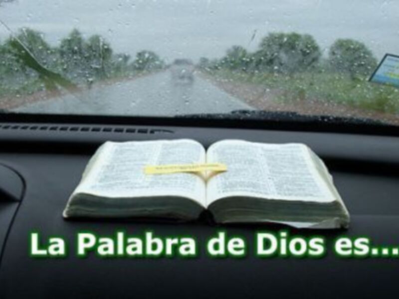 Este domingo Domund 2008 Como Pablo, misionero por vocación, lema de la Jornada Misionera Mundial: Aquellos que hemos recibido de Dios, de forma totalmente gratuita, el don de la fe, hemos de testimoniarla