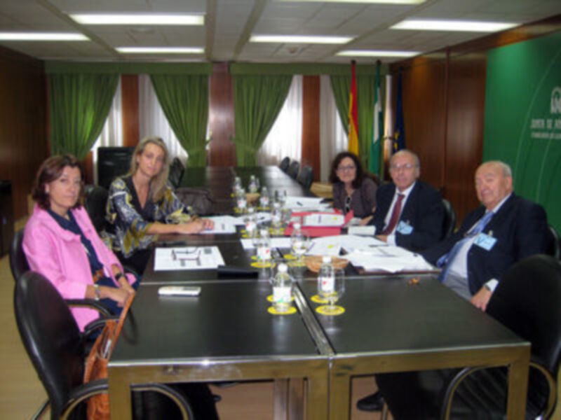 La Junta de  Andalucía prepara unas 'Jornadas Internacionales de  Tauromaquia' 