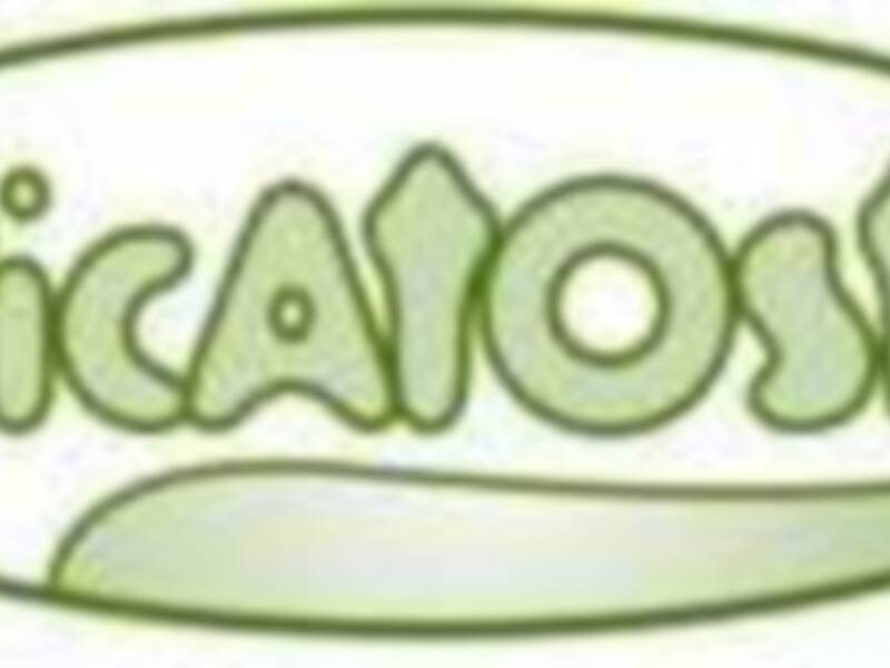 Picatoste al 50% de descuento