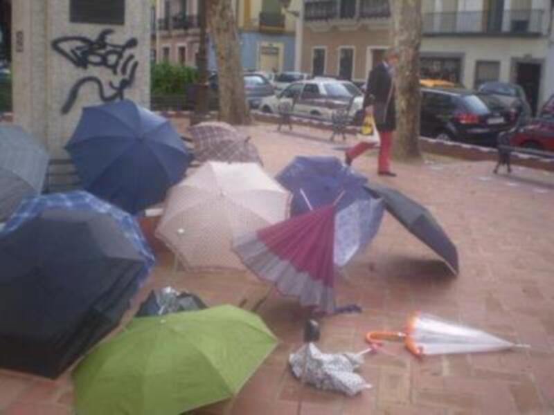 Diferentes tipos de paraguas colgados en la calle, con edificios y coches al fondo.