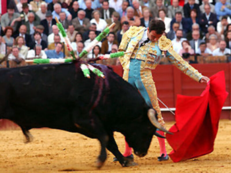 Enrique Ponce, triunfador en Fallas