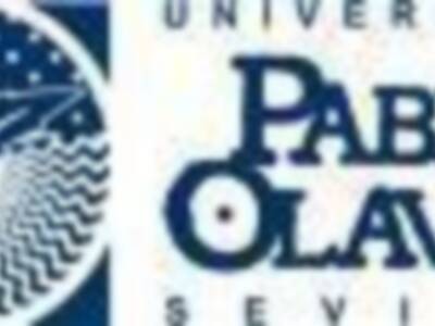 La III Feria Universitaria de Empleo se celebra durante esta semana en la UPO