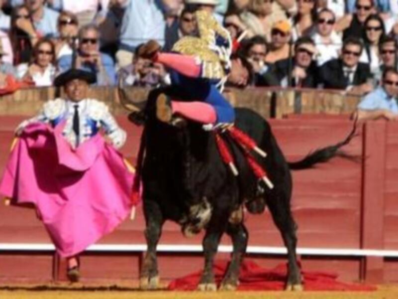 Fran Rivera, espectacular  voltereta en la Maestranza