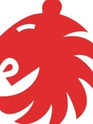 La Fundación de la FEB, la Comunidad de Madrid y la Caja Mediterráneo presentan este miércoles el programa El baloncesto no tiene edad