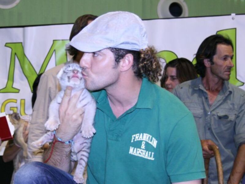 David Bisbal apadrina a un tigre en Sevilla