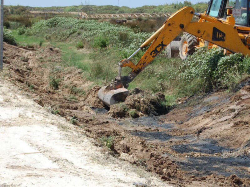 Destrozo ecológico en Chipiona