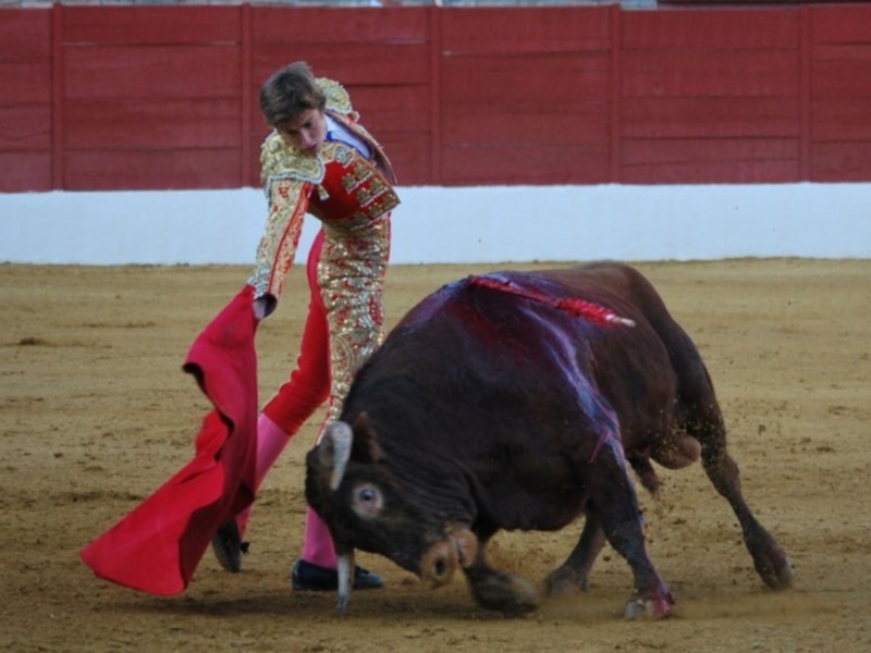 Fuertes emociones en la tercera novillada del XI Encuentro Andaluz de Escuelas de Tauromaquia de Baeza