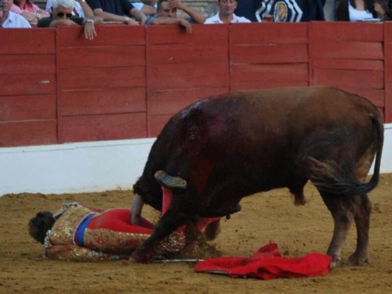 Fuertes emociones en la tercera novillada del XI Encuentro Andaluz de Escuelas de Tauromaquia de Baeza
