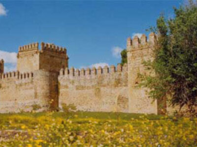 El Coronil