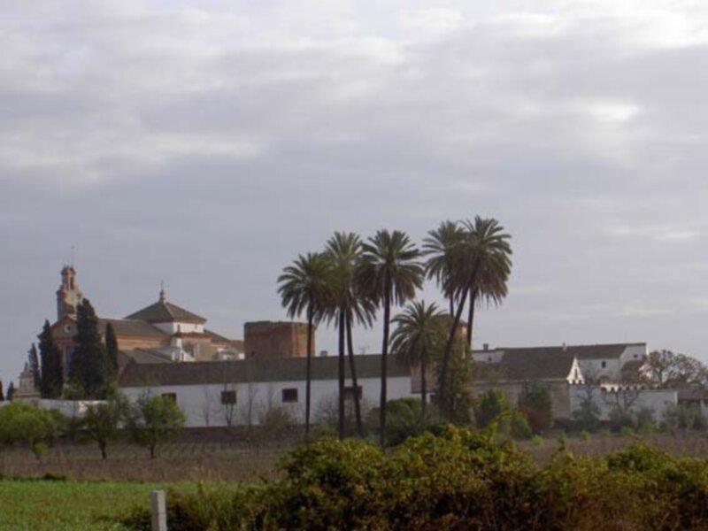 Espartinas