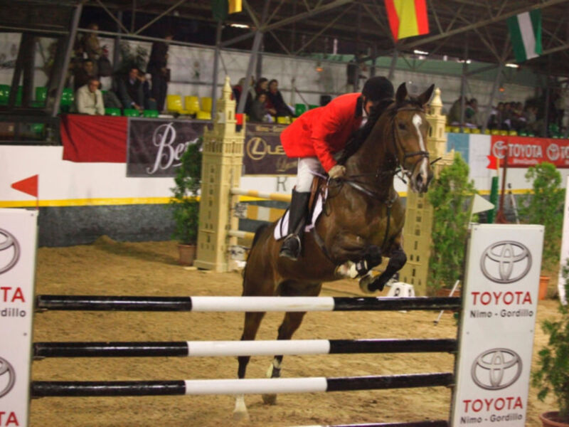 Jesús Torres gana el complicado Trofeo Toyota-Nimo Gordillo de la segunda jornada de Jumping de Pineda